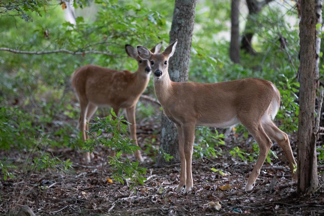 SEO to GEO - the First Mental Model You Need