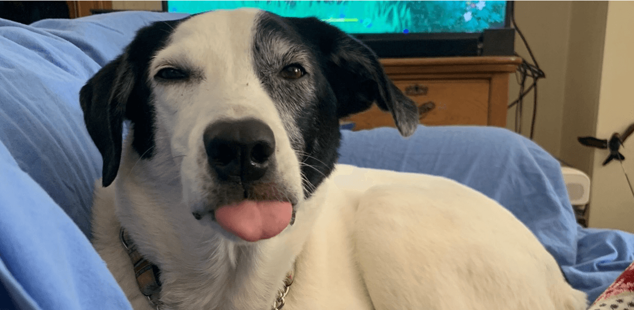 SEO to GEO: Mental Model #5 - Zero Click