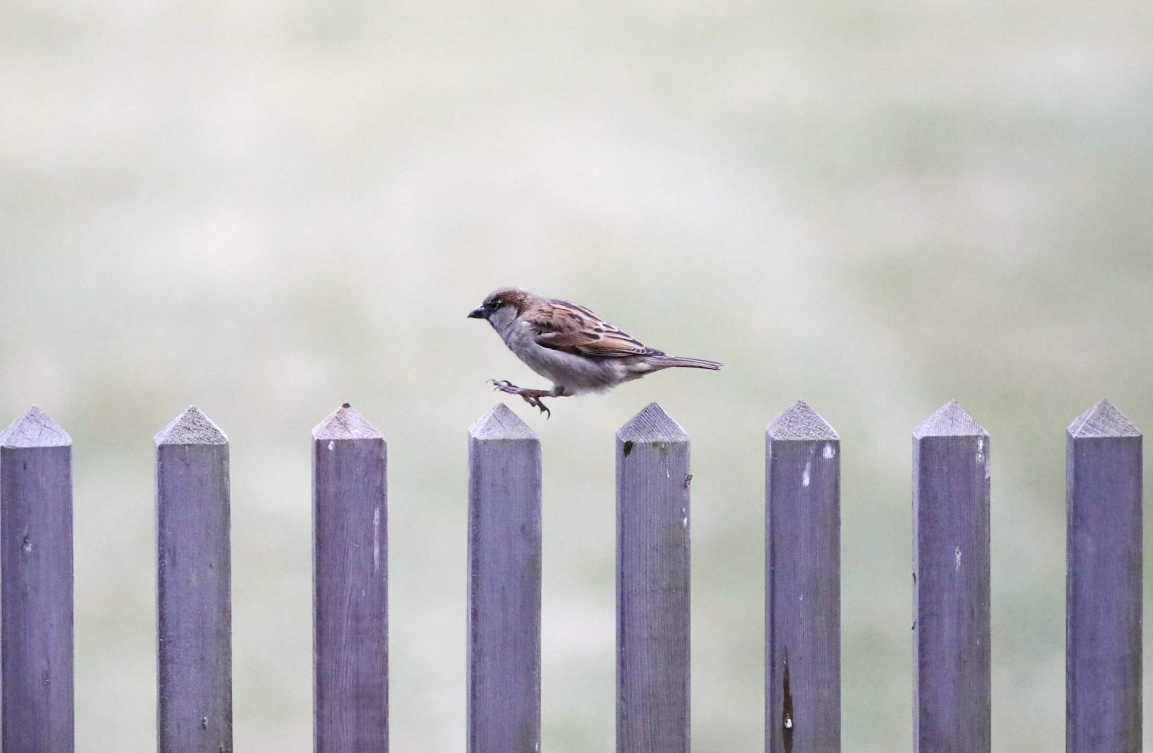 SEO to GEO: Mental Model #9 - Small Wins