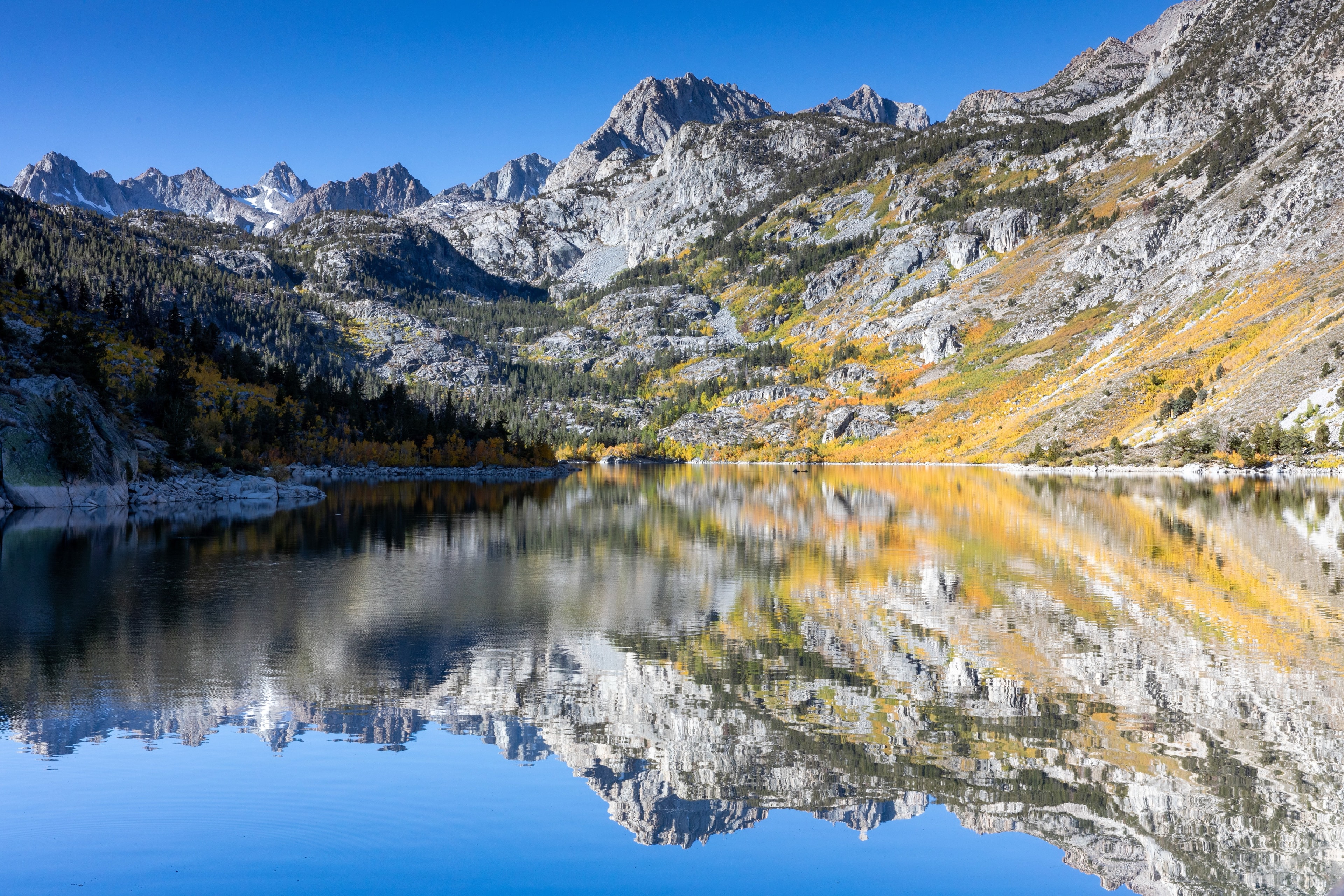 SEO to GEO: Mental Model #12 - Surface Consistency