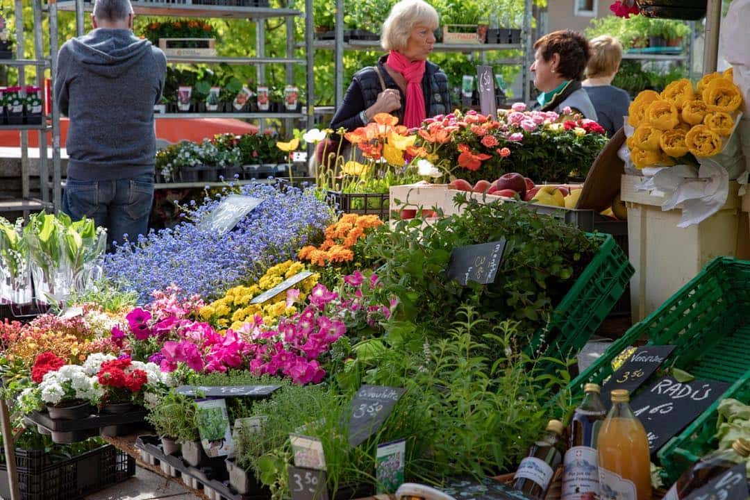 To Buy or Not to Buy